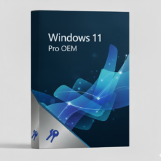 Windows 11 Pro COA matrica ajándék USB telepítővel